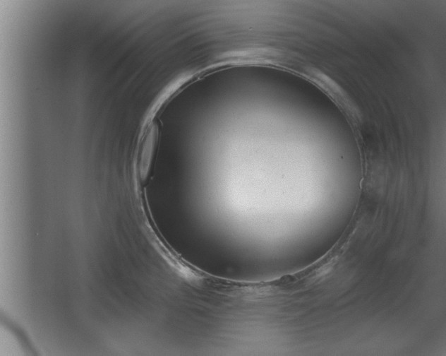 X0000068261196200604281517