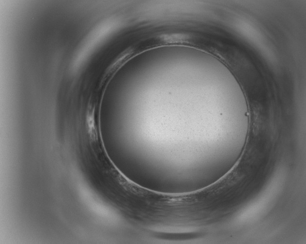 X0000068261198200604281517