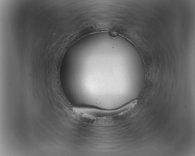 X0000068261201200604281516