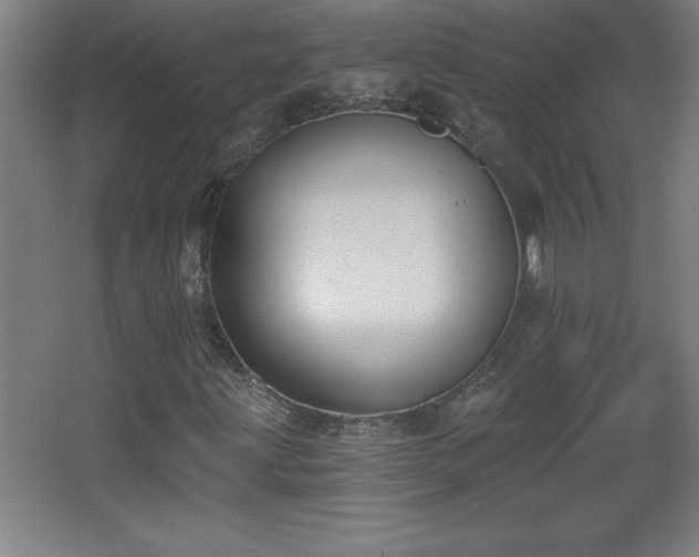 X0000068261203200604281517