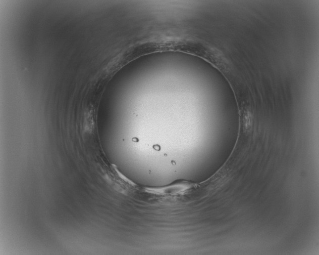 X0000068261204200604281517