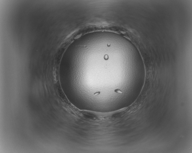 X0000068261205200604281517