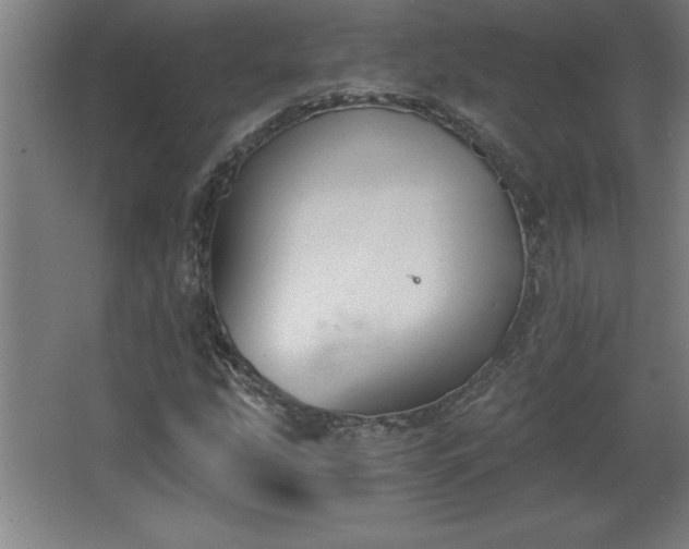 X0000068261207200604281517