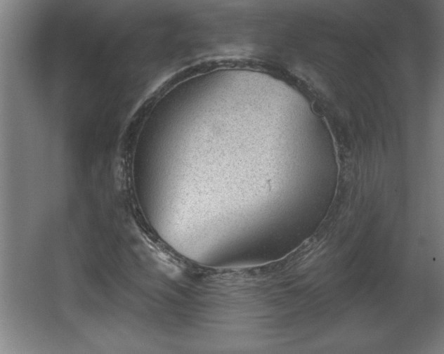 X0000068261208200604281517