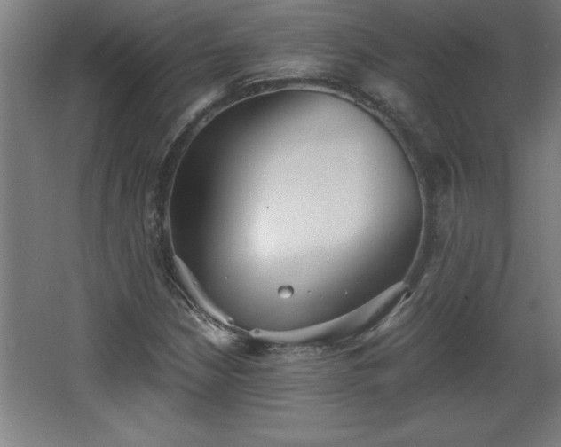 X0000068261210200604281517