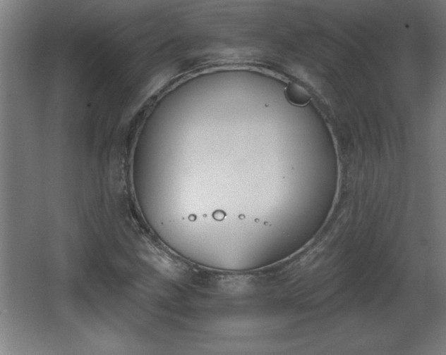 X0000068261211200604281517