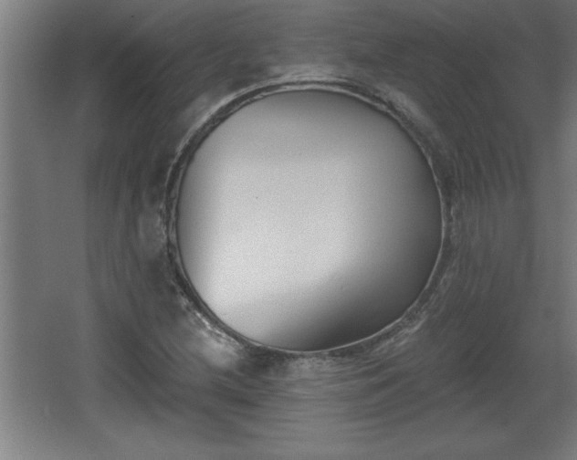 X0000068261212200604281517