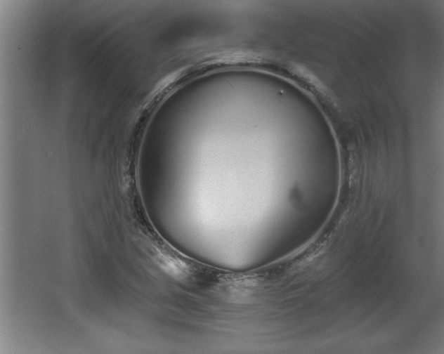 X0000068261213200604281517