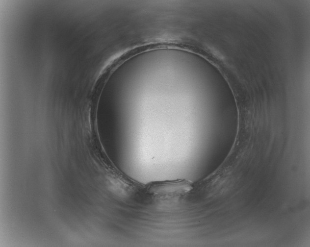 X0000068261214200604281517