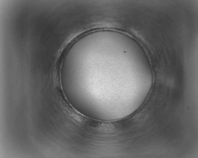 X0000068261215200604281517