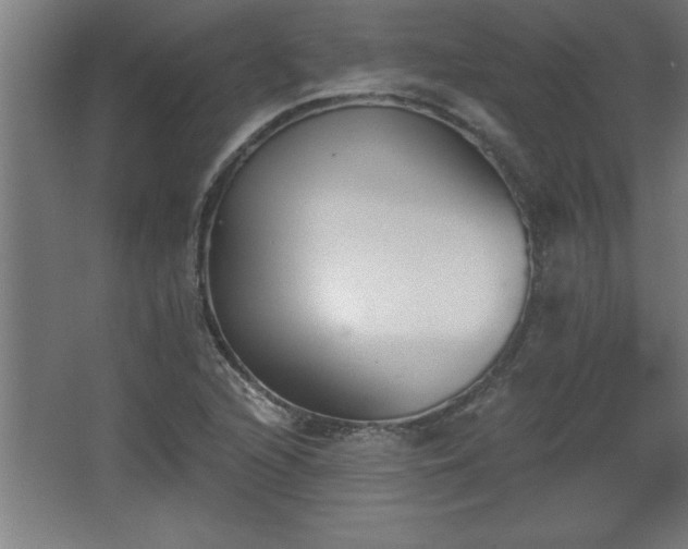 X0000068261216200604281517