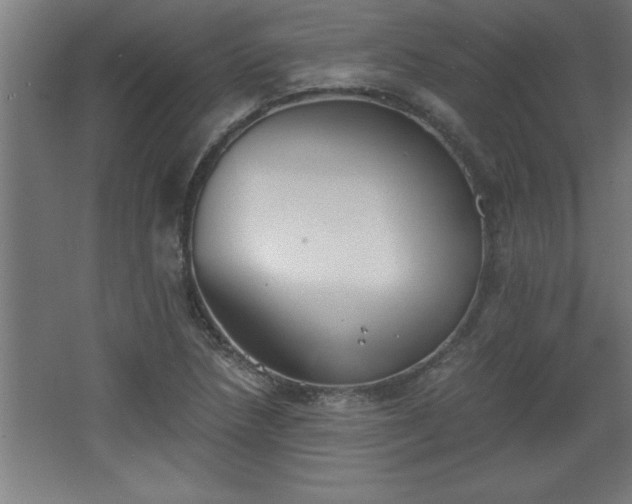 X0000068261218200604281517