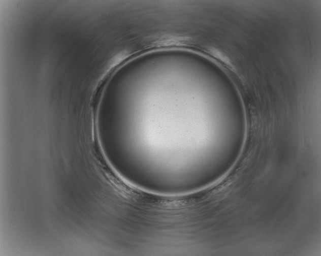 X0000068261219200604281517