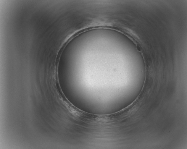 X0000068261220200604281517