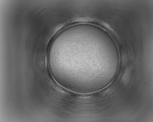 X0000068261221200604281517