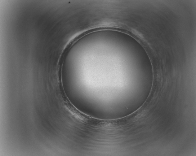 X0000068261222200604281517