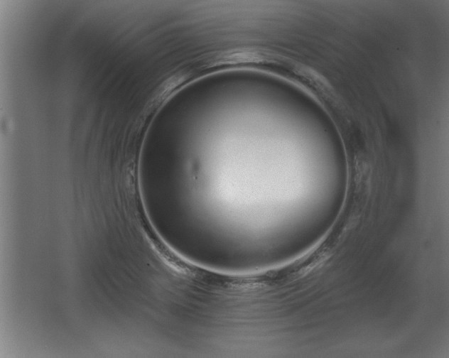 X0000068261225200604281517