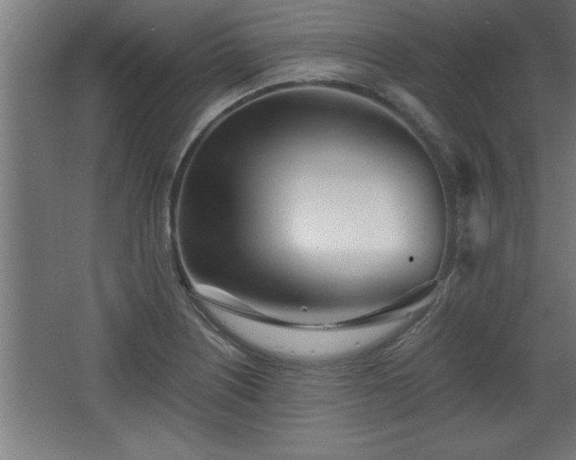 X0000068261226200604281517