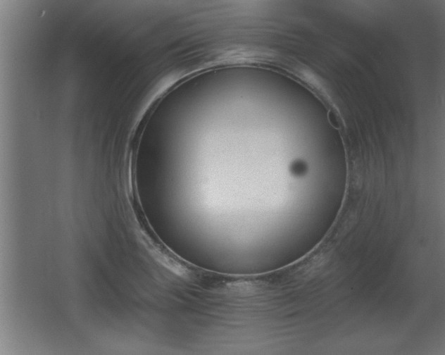 X0000068261227200604281517