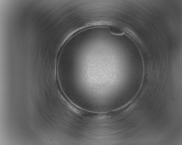 X0000068261228200604281517