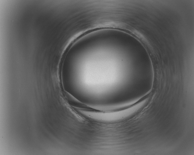 X0000068261230200604281517