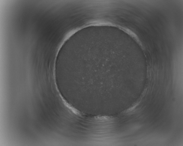 X0000068261231200604281517