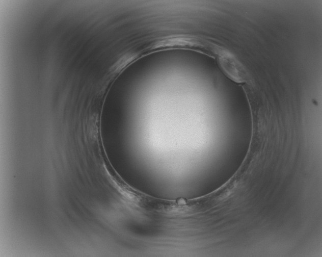 X0000068261233200604281517