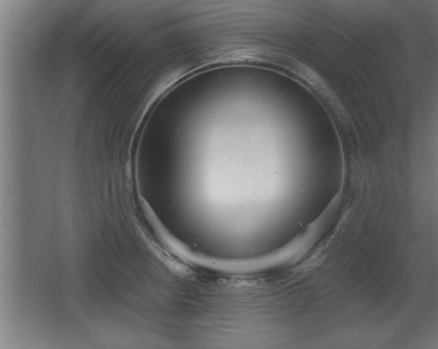 X0000068261234200604281517