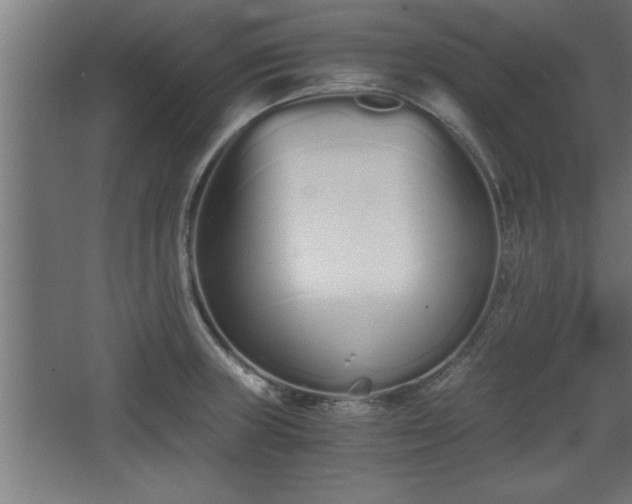 X0000068261235200604281517