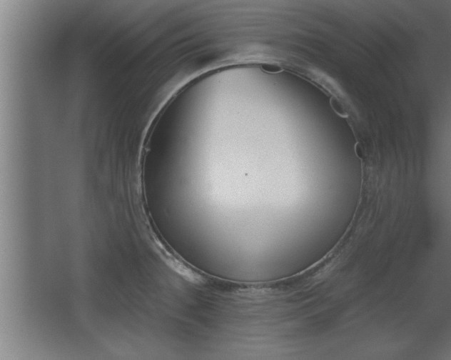 X0000068261236200604281517