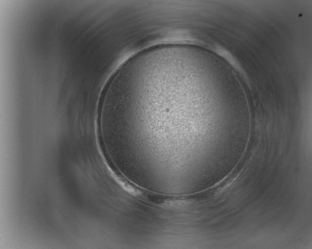 X0000068261237200604281517