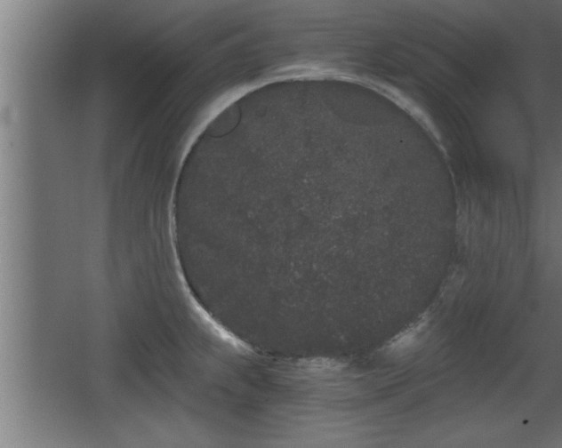 X0000068261239200604281517