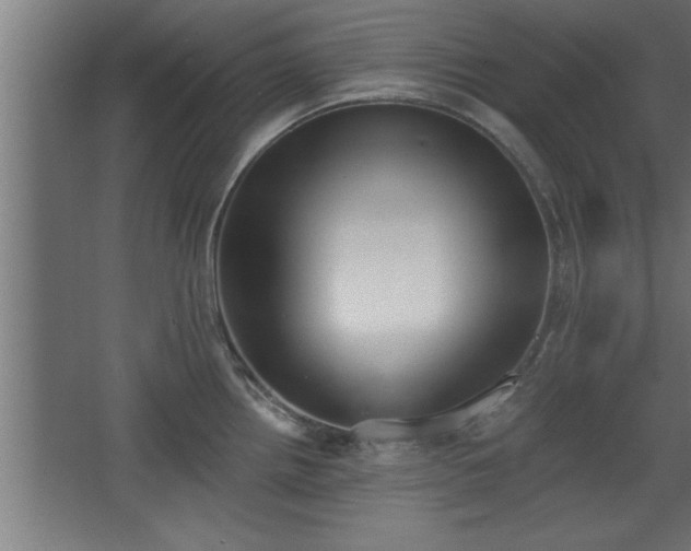 X0000068261242200604281517