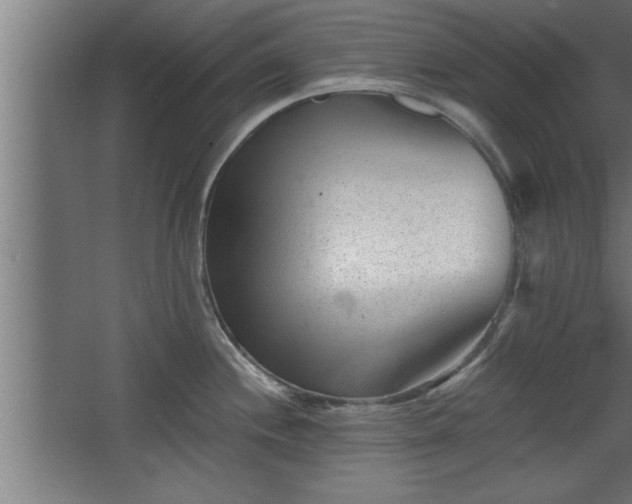 X0000068261244200604281517