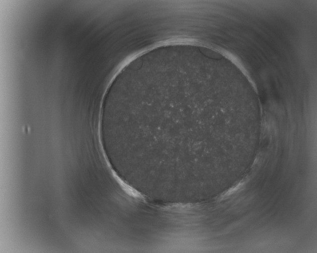 X0000068261245200604281517