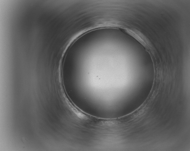 X0000068261246200604281517