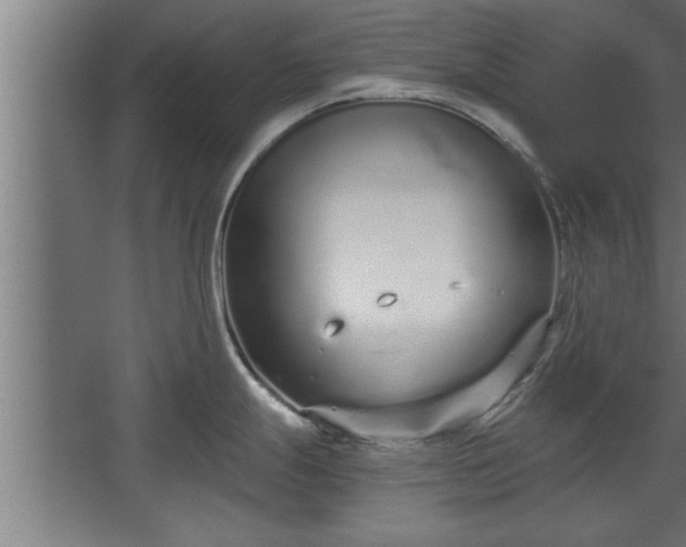 X0000068261247200604281517