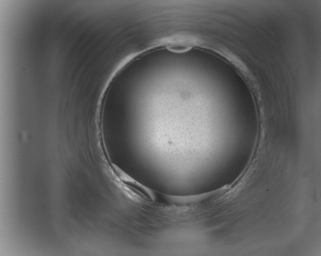 X0000068261248200604281517