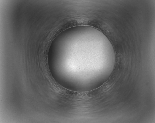 X0000068261249200604281516