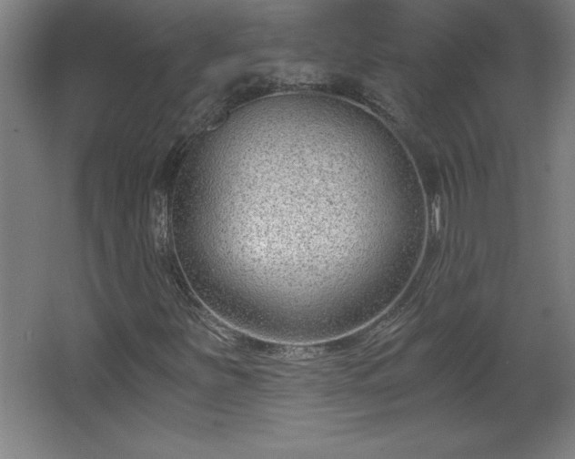 X0000068261251200604281516