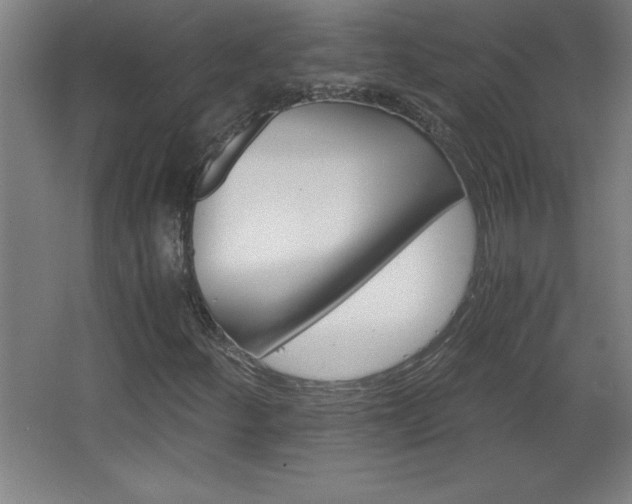 X0000068261252200604281516