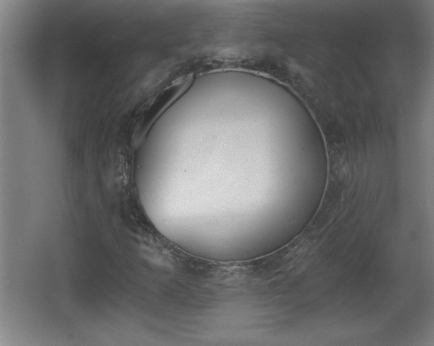 X0000068261253200604281516