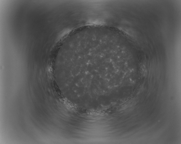 X0000068261254200604281516