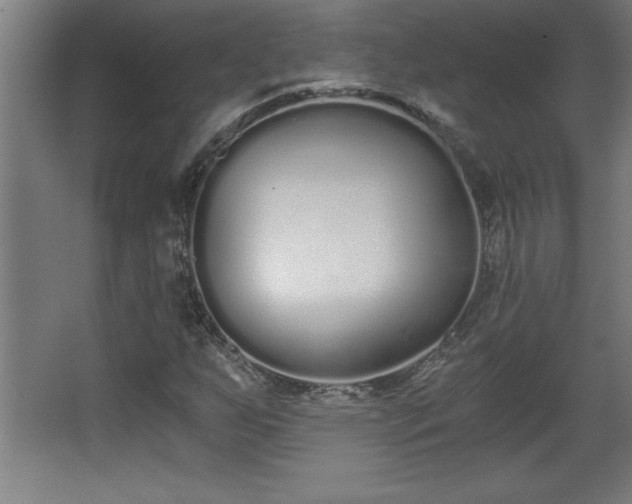 X0000068261255200604281516