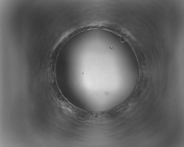 X0000068261256200604281516