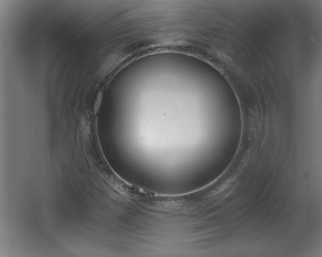 X0000068261257200604281516