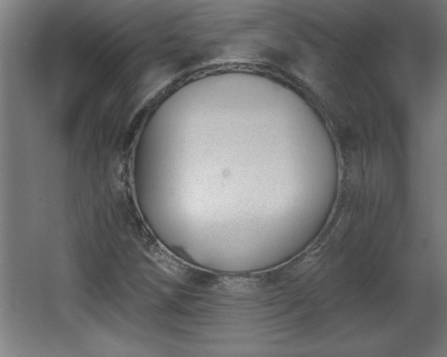 X0000068261258200604281516