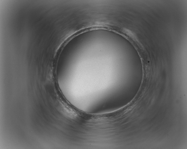 X0000068261260200604281516