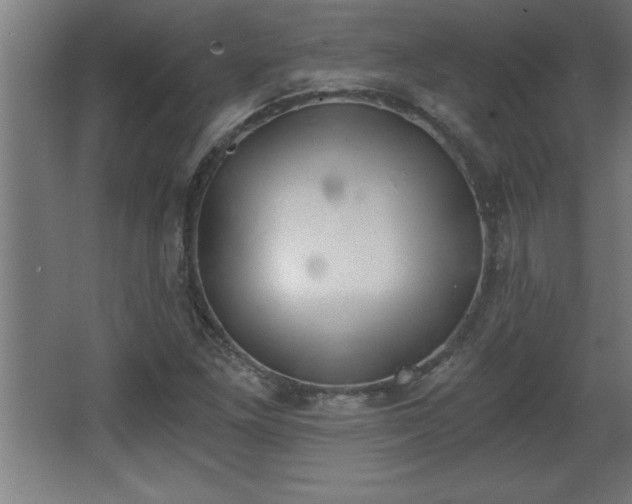 X0000068261261200604281516