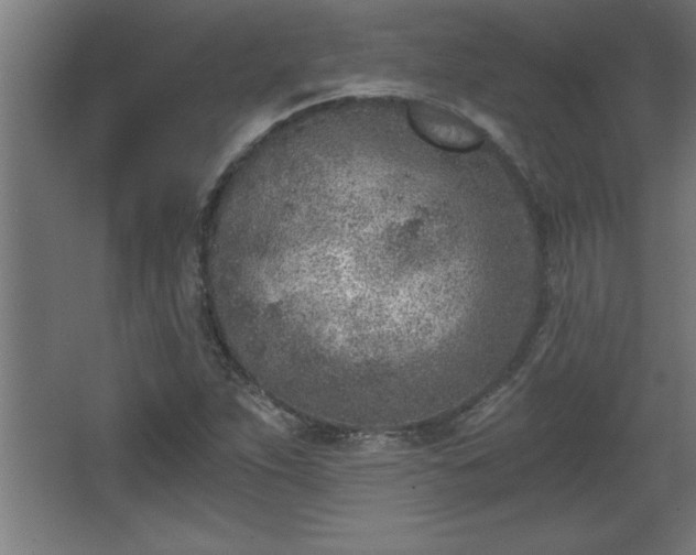 X0000068261263200604281516